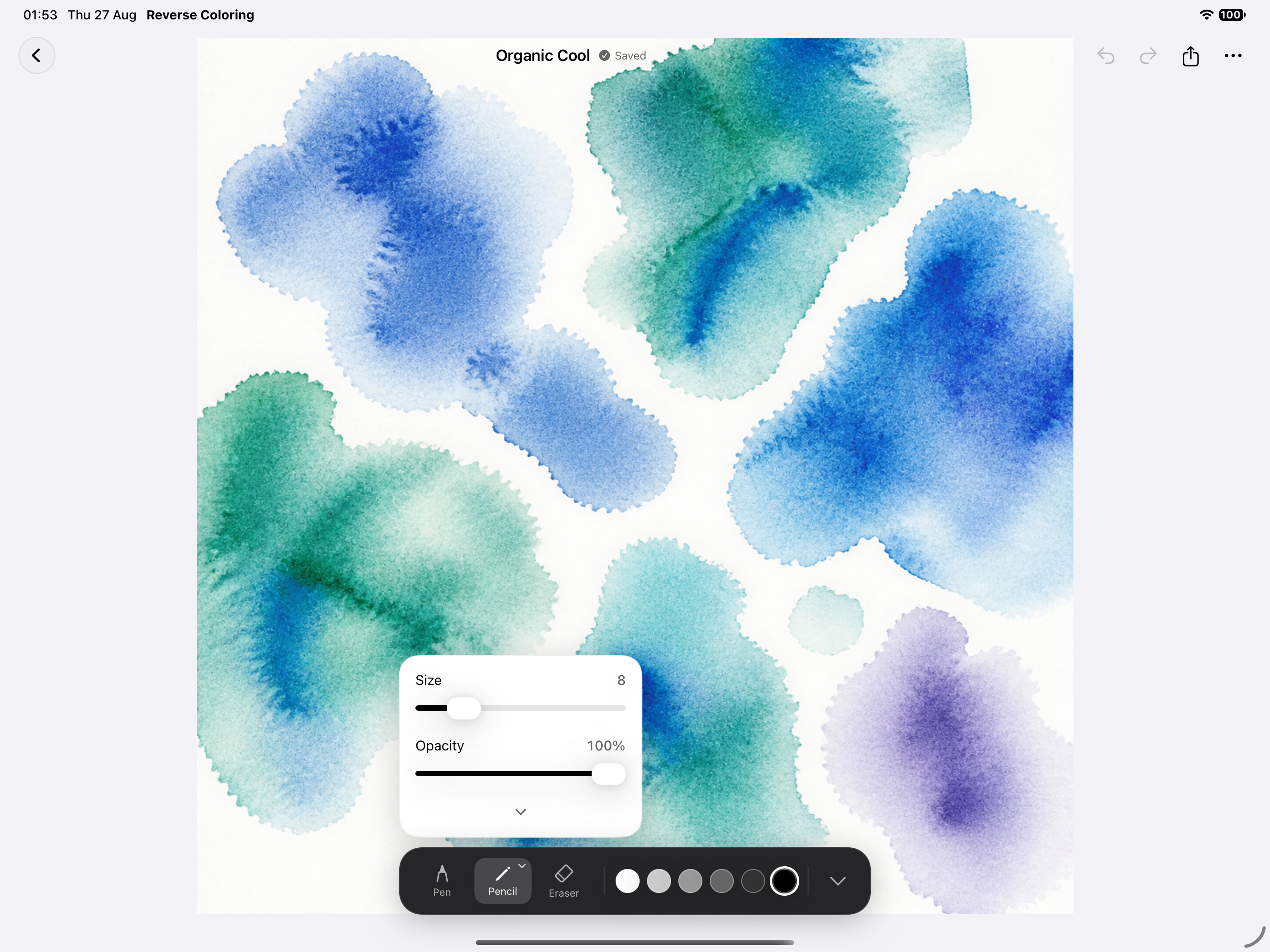 Drawing size and opacity controls